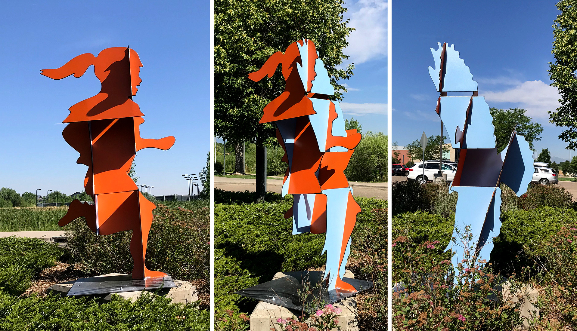 Run and Fly -Joe Norman