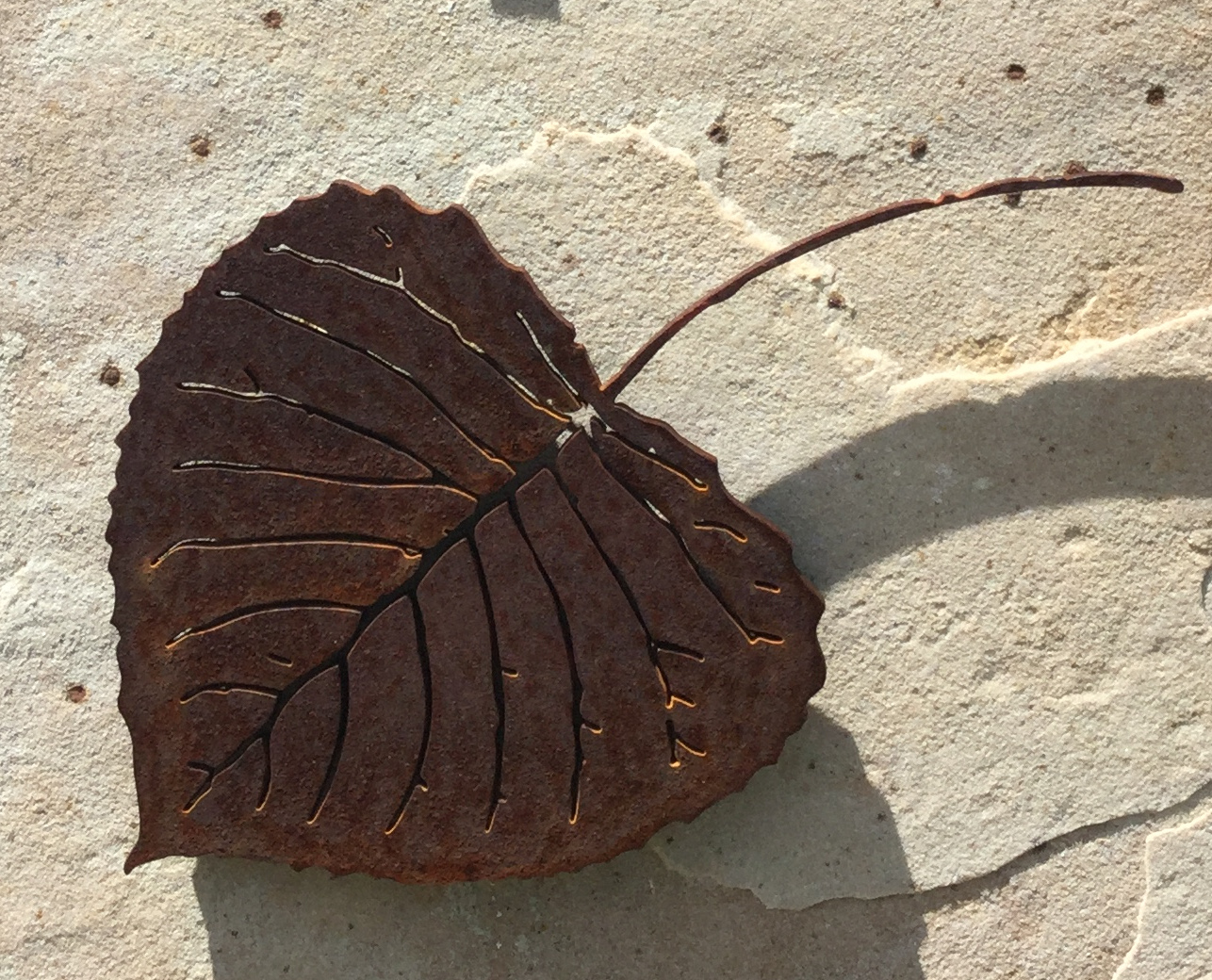 Cottonwood Leaf detail
